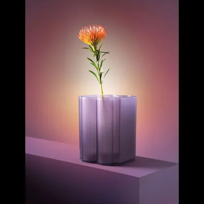 Vaso Okra di Kartell