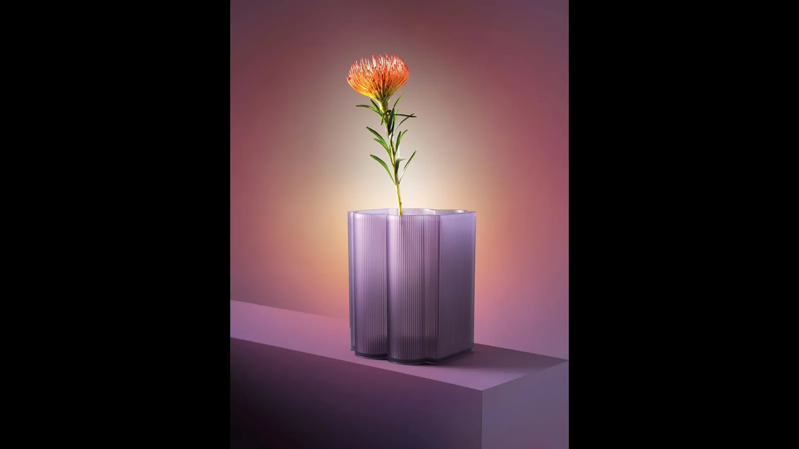 Vaso Okra di Kartell